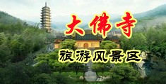 揉胸日b中国浙江-新昌大佛寺旅游风景区